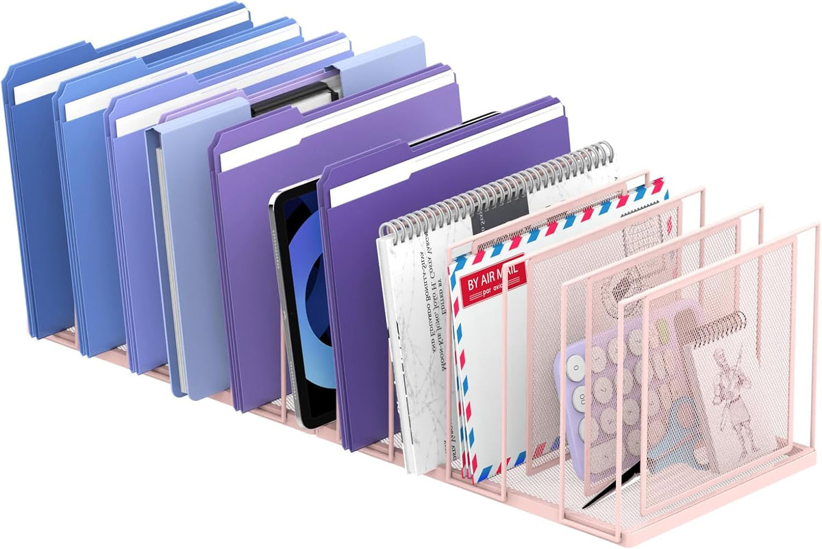 File Organizer for Desk, 5-Section Vertical File Sorter, Paper Holder Organizer Standing Metal File Folder for Office Home Classroom, Black