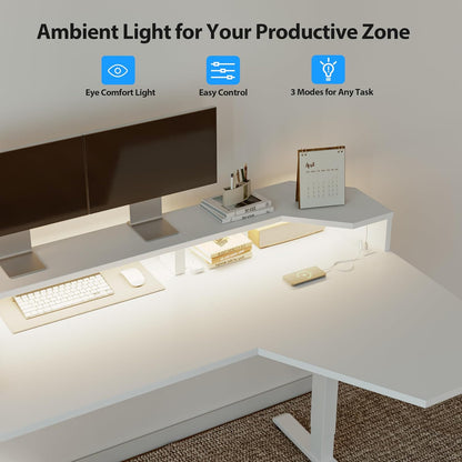 48 * 24 Inch Electric Standing Desk with Shelf & Led, Dark Walnut