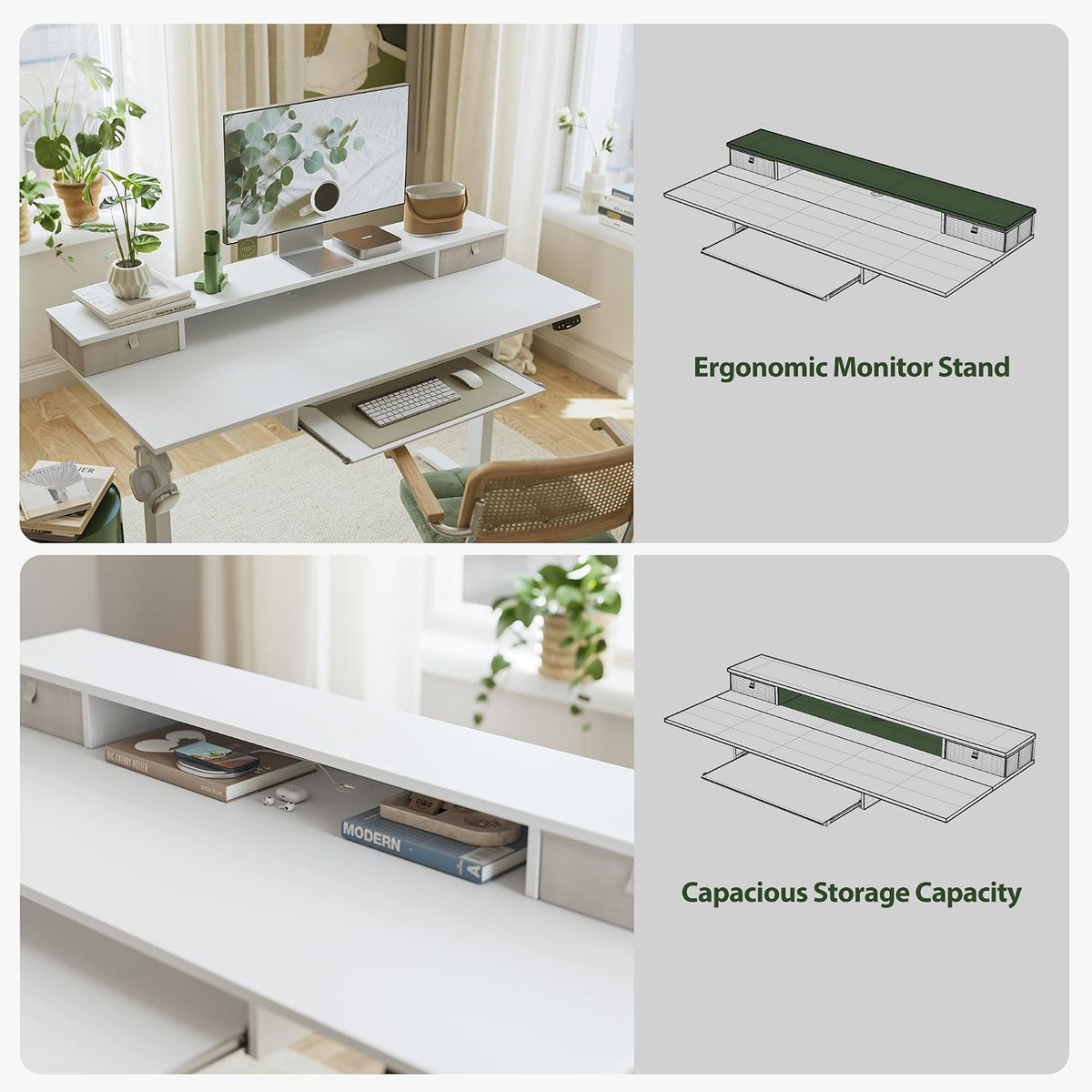 48 * 24 Inch Electric Standing Desk with Shelf & Led, Dark Walnut