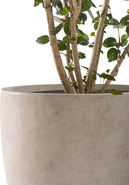 Kante 8.9" H x 10" W Small Concrete Planter, Compact Desktop Plant Pot with Drainage Hole & Rubber Plug – Lightweight Breathable Cement Container for Succulents, Cactus, Herbs, Indoor Outdoor, Gift