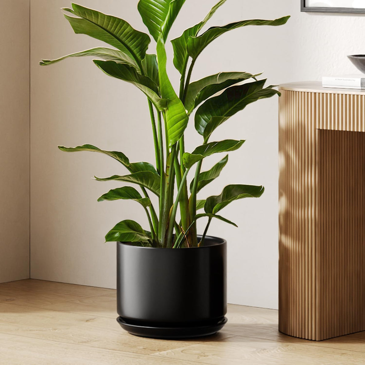 LE TAUCI Ceramic Pots for Plants, 6.8 Inch Plant Pots with Drainage Hole & Saucer, Modern Planter for Indoor Plants, Stable & Durable, Perfect for Living Room or Office Decor, White