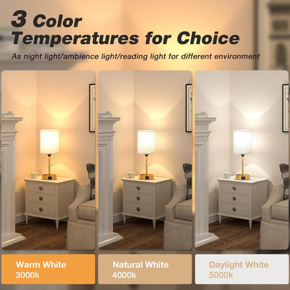 Dicoool Bedside Table Lamp for Bedroom - Small Desk Lamp with USB Ports
