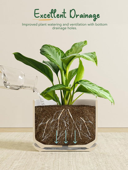LE TAUCI Ceramic Pots for Plants, 6.8 Inch Plant Pots with Drainage Hole & Saucer, Modern Planter for Indoor Plants, Stable & Durable, Perfect for Living Room or Office Decor, White