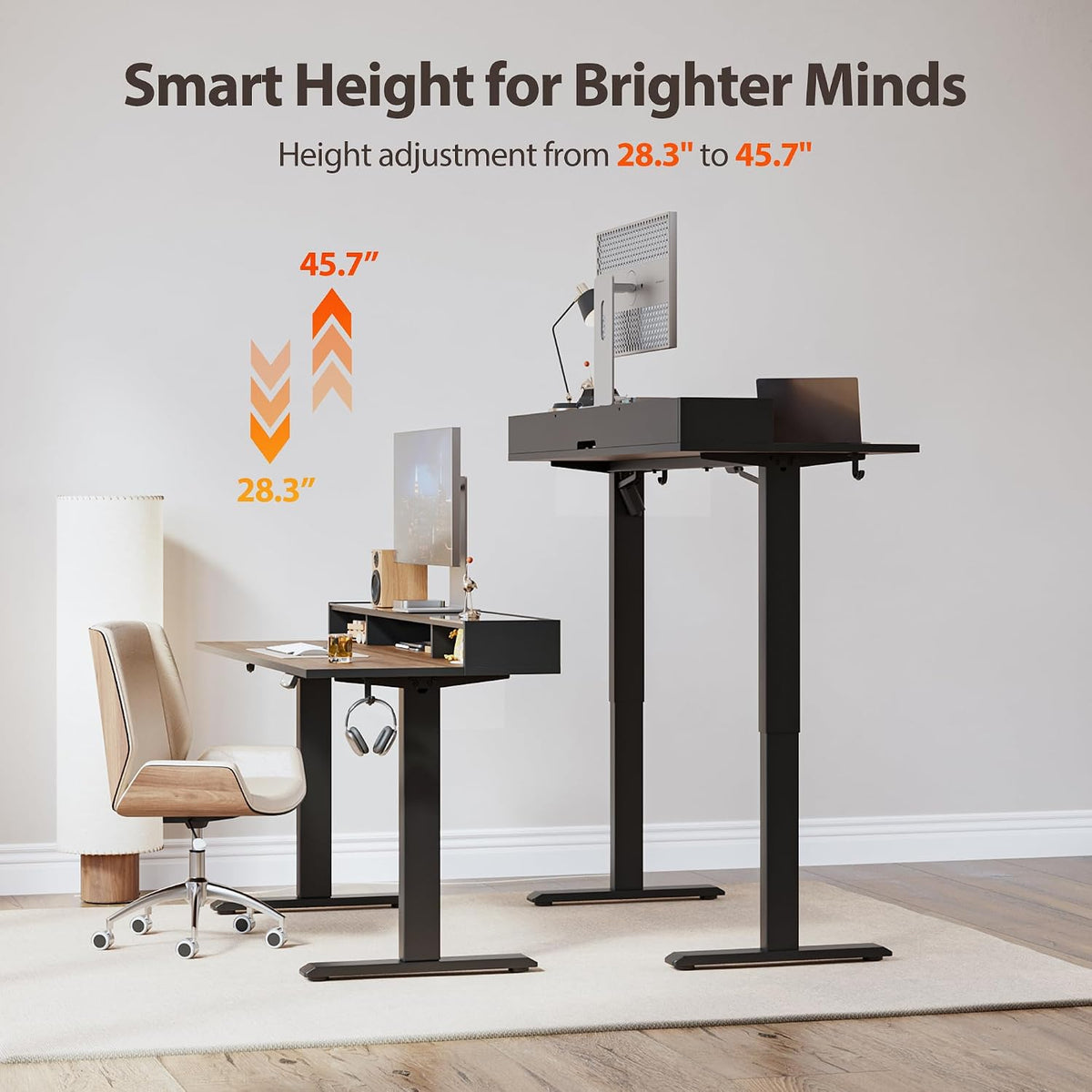 48 * 24 Inch Electric Standing Desk with Shelf & Led, Dark Walnut