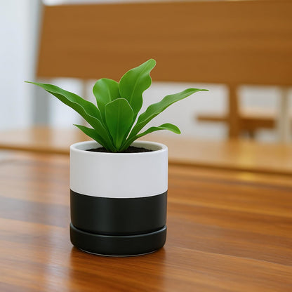 D'vine Dev 4.7 Inch Ceramic Planter Pot with Drainage Hole and Saucer, Indoor Cylinder Round Planter Pot, Teal, 94-O-B-9
