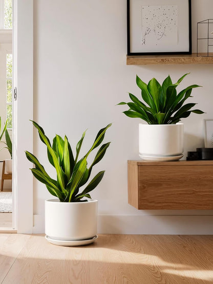 LE TAUCI Ceramic Pots for Plants, 6.8 Inch Plant Pots with Drainage Hole & Saucer, Modern Planter for Indoor Plants, Stable & Durable, Perfect for Living Room or Office Decor, White