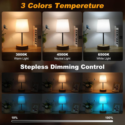 Ascher Small Bedside Table lamp, RGB Color Changing Lamps, 3 Color Temperatures, Dimmable Nightstand Lamp with USB C+A Ports, Touch Desk Lamp for Bedroom Living Room, H11.4in(Flaxen Shade)