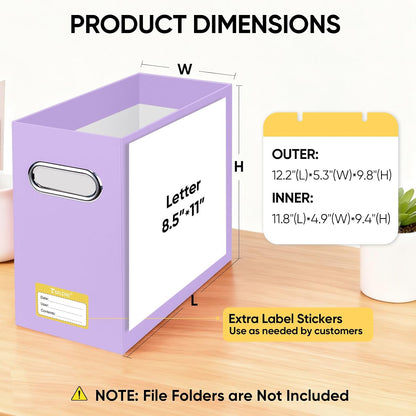 BALEINE File Organizer Box, Cardboard File Folder Organizer with Handle for Letter Size, Portable Collapsible Hanging Filing Box for Home Office Document Storage (2 Pack, Black)