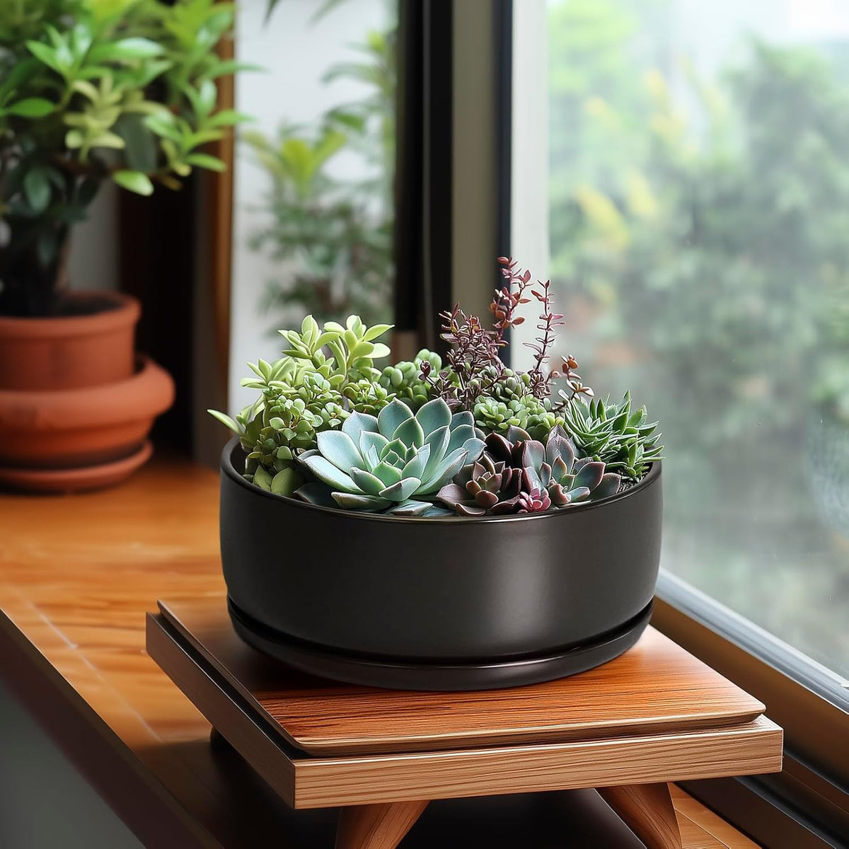 SQOWL 8 inch White Round Ceramic Succulent Planter Pot Modern Flower Cactus herb Big Planter with Removable Saucer Indoor or Outdoor