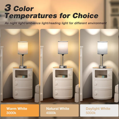 Dicoool Bedside Table Lamp for Bedroom - Small Desk Lamp with USB Ports