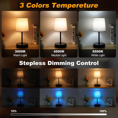 Ascher Small Bedside Table lamp, RGB Color Changing Lamps, 3 Color Temperatures, Dimmable Nightstand Lamp with USB C+A Ports, Touch Desk Lamp for Bedroom Living Room, H11.4in(Flaxen Shade)