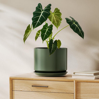 LE TAUCI Ceramic Pots for Plants, 6.8 Inch Plant Pots with Drainage Hole & Saucer, Modern Planter for Indoor Plants, Stable & Durable, Perfect for Living Room or Office Decor, White