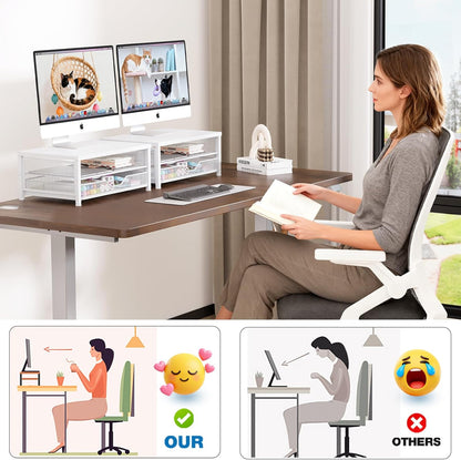 Desk Organizers and Accessories, Computer Monitor Stand Riser with Drawer and 2 Pen Holders, Printer & Laptop Stand, Office Desk Accessories & Workspace Organizers for Home Office Supplies, Black