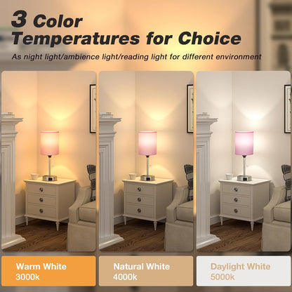 Dicoool Bedside Table Lamp for Bedroom - Small Desk Lamp with USB Ports