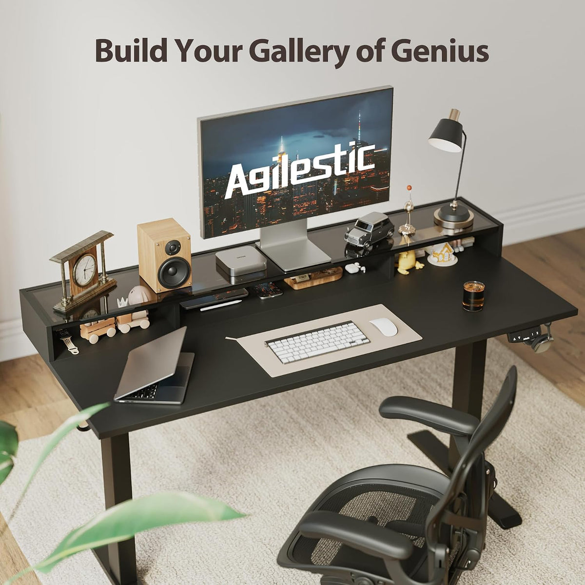 48 * 24 Inch Electric Standing Desk with Shelf & Led, Dark Walnut
