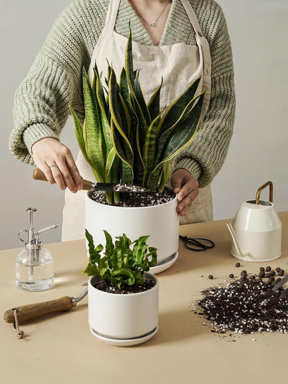 LE TAUCI Ceramic Pots for Plants, 6.8 Inch Plant Pots with Drainage Hole & Saucer, Modern Planter for Indoor Plants, Stable & Durable, Perfect for Living Room or Office Decor, White