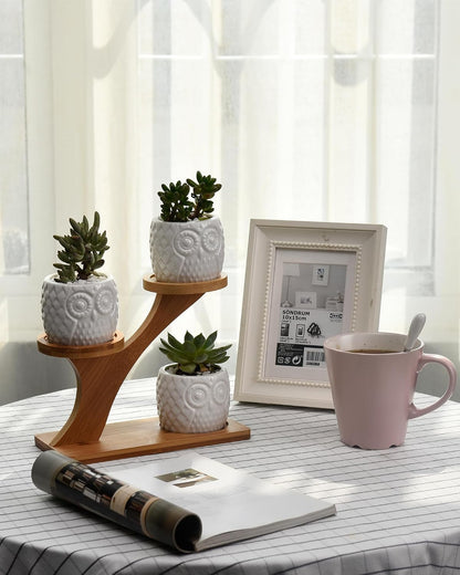 FLOWERPLUS Planter Pots Indoor, 3 Pack 3 Inch White Ceramic Decorative Small Owl Succulent Cactus Flower Plant Pot with Tree Tier Bamboo Stand for Garden Kitchen Home Office Desk Decorations