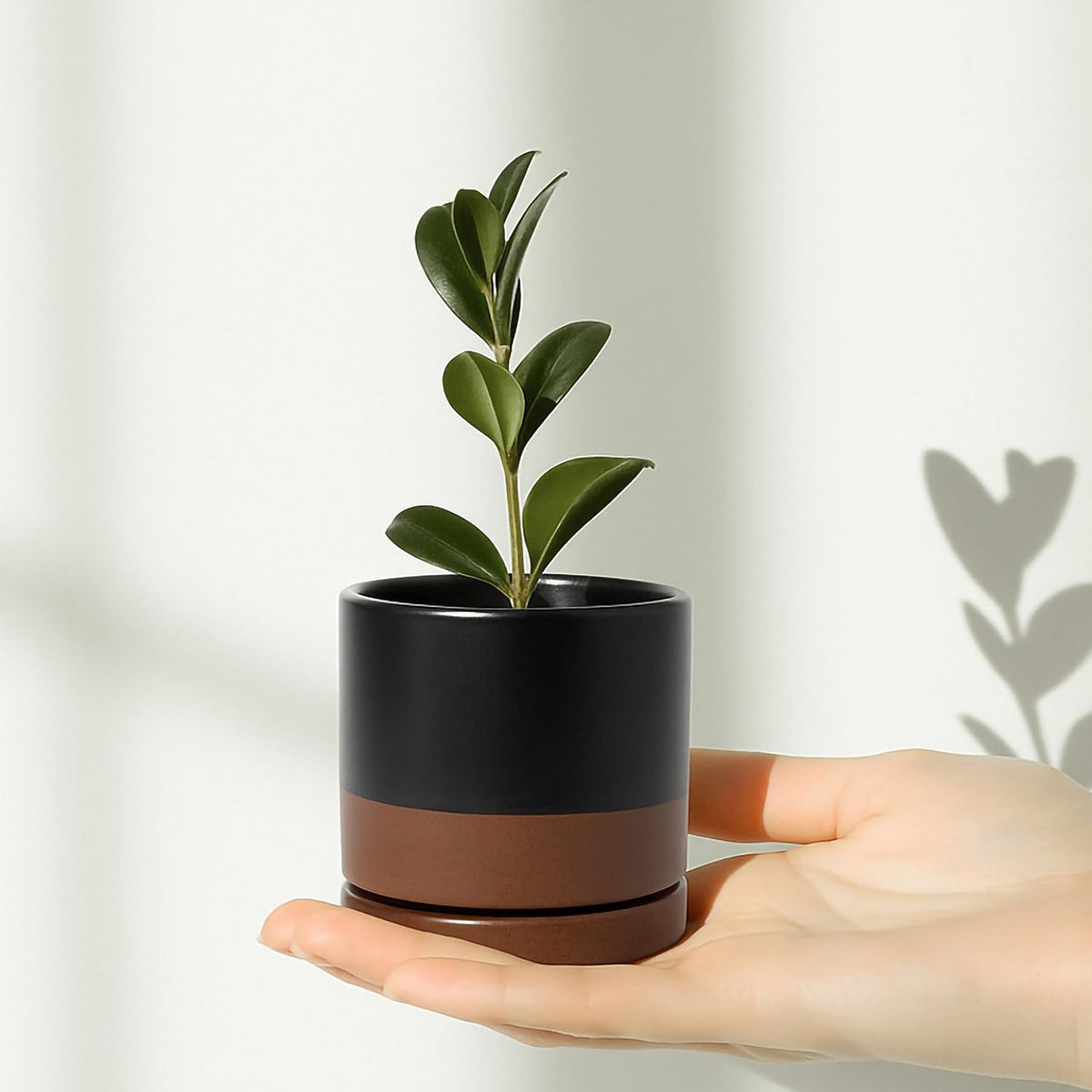 D'vine Dev 4.7 Inch Ceramic Planter Pot with Drainage Hole and Saucer, Indoor Cylinder Round Planter Pot, Teal, 94-O-B-9