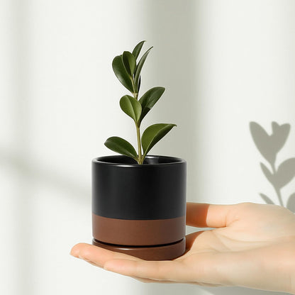 D'vine Dev 4.7 Inch Ceramic Planter Pot with Drainage Hole and Saucer, Indoor Cylinder Round Planter Pot, Teal, 94-O-B-9