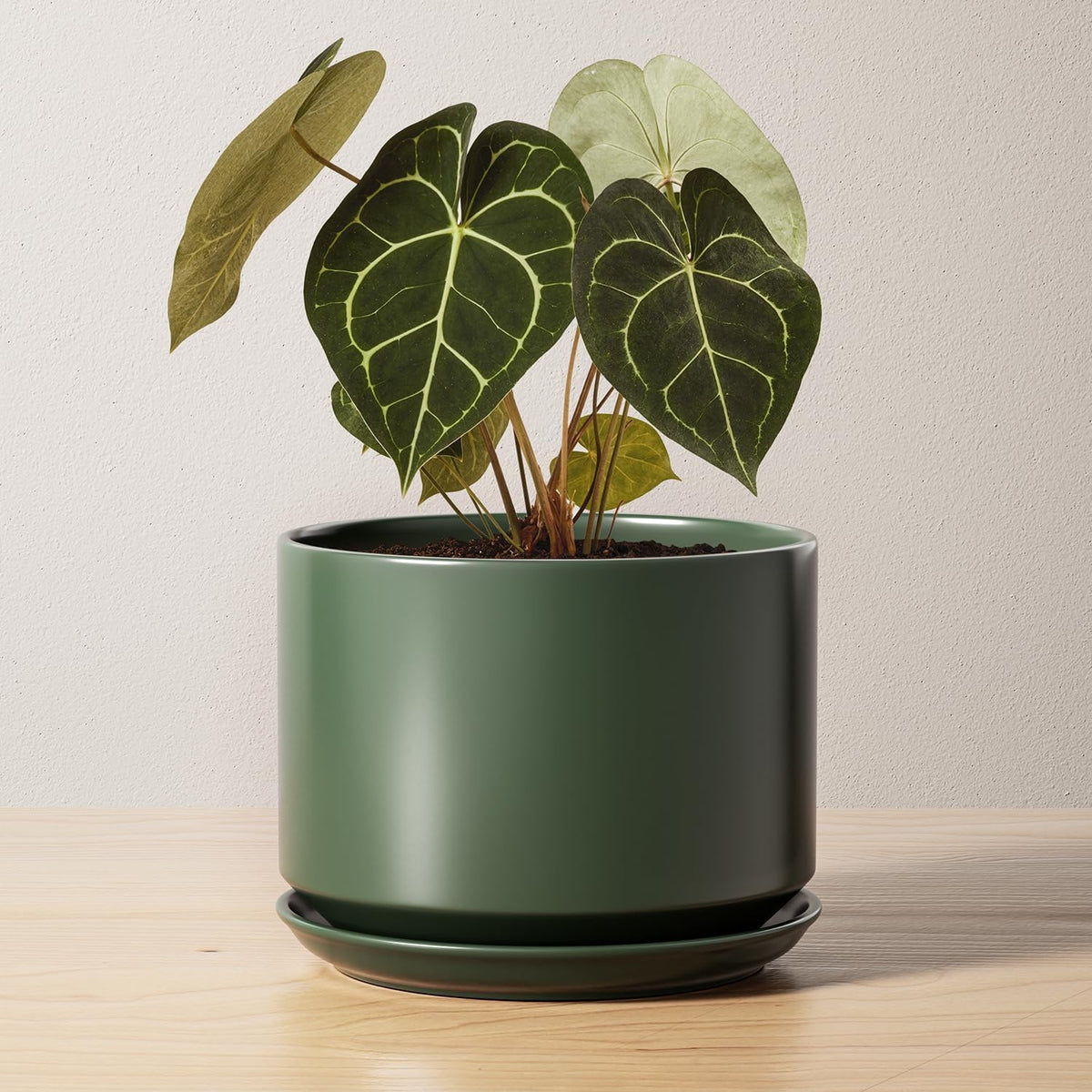 LE TAUCI Ceramic Pots for Plants, 6.8 Inch Plant Pots with Drainage Hole & Saucer, Modern Planter for Indoor Plants, Stable & Durable, Perfect for Living Room or Office Decor, White