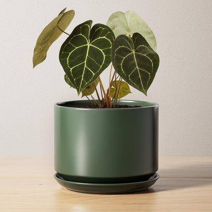 LE TAUCI Ceramic Pots for Plants, 6.8 Inch Plant Pots with Drainage Hole & Saucer, Modern Planter for Indoor Plants, Stable & Durable, Perfect for Living Room or Office Decor, White