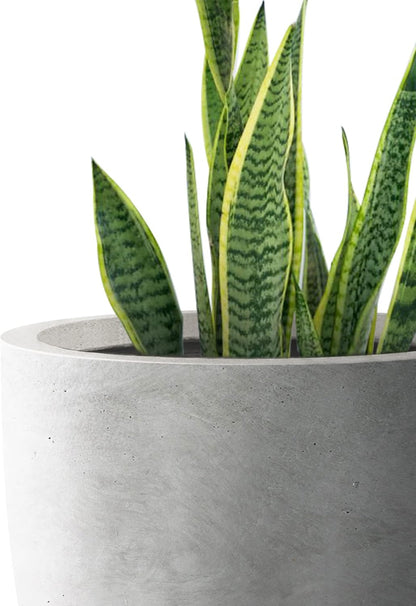Kante 8.9" H x 10" W Small Concrete Planter, Compact Desktop Plant Pot with Drainage Hole & Rubber Plug – Lightweight Breathable Cement Container for Succulents, Cactus, Herbs, Indoor Outdoor, Gift
