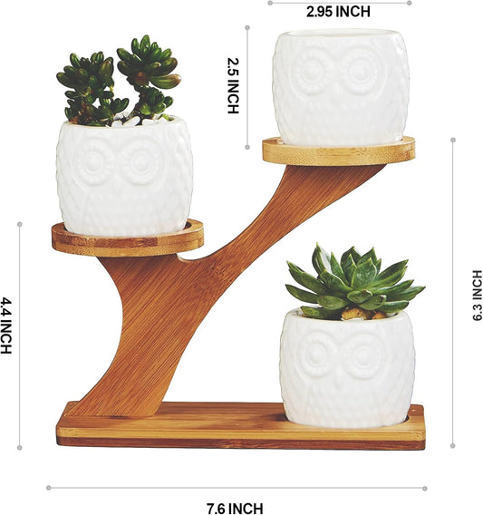 FLOWERPLUS Planter Pots Indoor, 3 Pack 3 Inch White Ceramic Decorative Small Owl Succulent Cactus Flower Plant Pot with Tree Tier Bamboo Stand for Garden Kitchen Home Office Desk Decorations