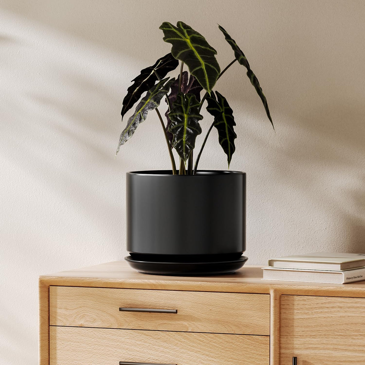 LE TAUCI Ceramic Pots for Plants, 6.8 Inch Plant Pots with Drainage Hole & Saucer, Modern Planter for Indoor Plants, Stable & Durable, Perfect for Living Room or Office Decor, White