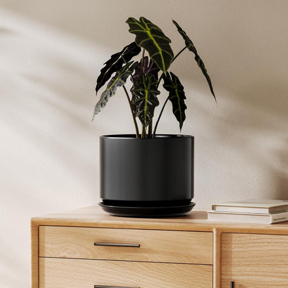 LE TAUCI Ceramic Pots for Plants, 6.8 Inch Plant Pots with Drainage Hole & Saucer, Modern Planter for Indoor Plants, Stable & Durable, Perfect for Living Room or Office Decor, White
