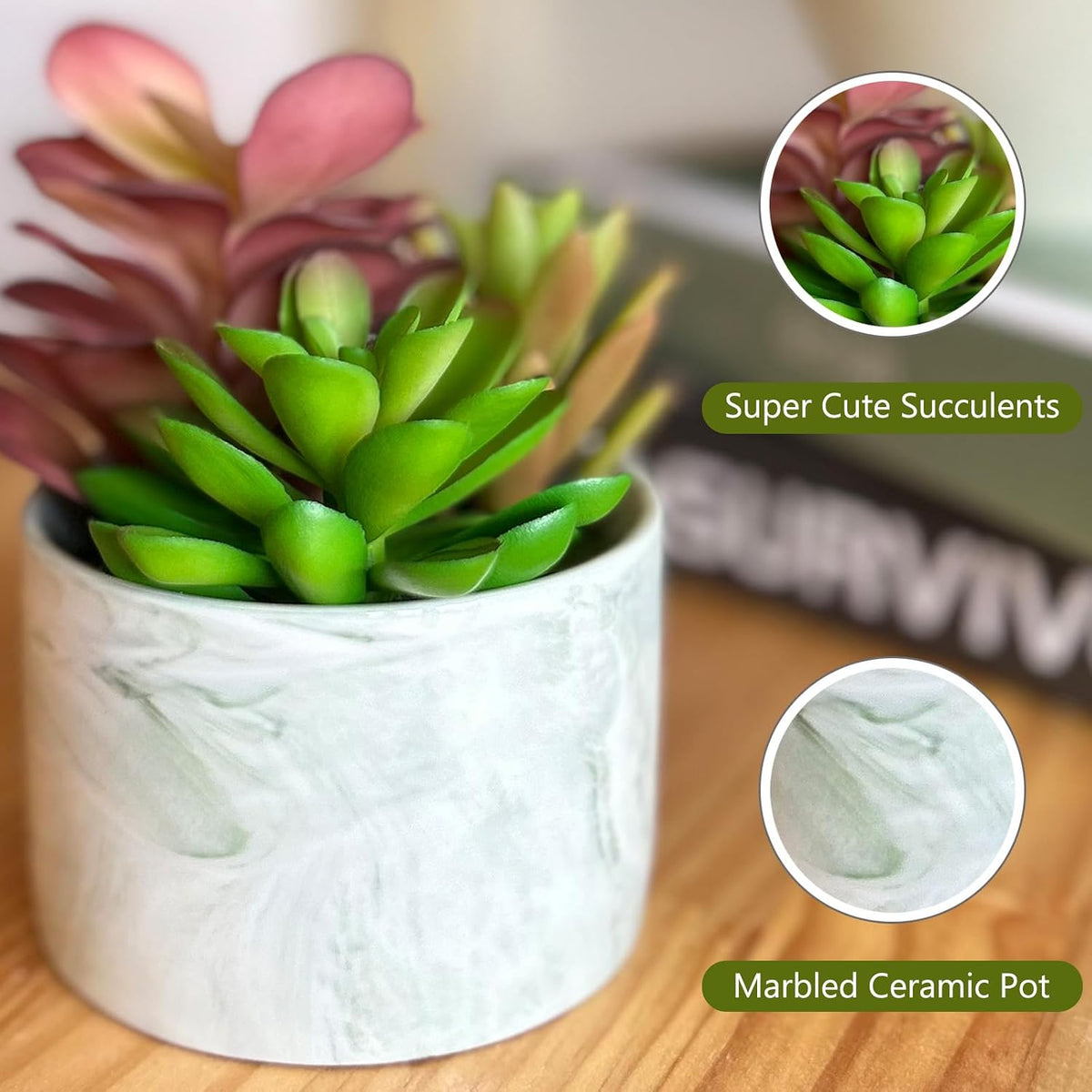 Artificial Plants Cute Colourful Succulents in Ceramic Planter Fake Plant Flowers Potted for Home Living Room Office Desk Decor Bathroom Bedroom Indoor Decoration