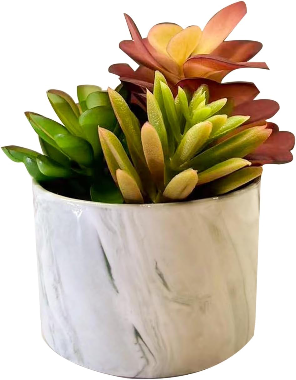 Artificial Plants Cute Colourful Succulents in Ceramic Planter Fake Plant Flowers Potted for Home Living Room Office Desk Decor Bathroom Bedroom Indoor Decoration