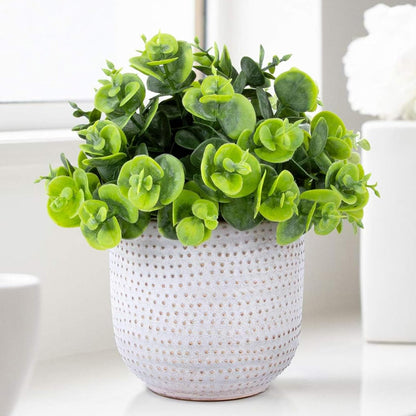 Artificial Plants Cute Colourful Succulents in Ceramic Planter Fake Plant Flowers Potted for Home Living Room Office Desk Decor Bathroom Bedroom Indoor Decoration