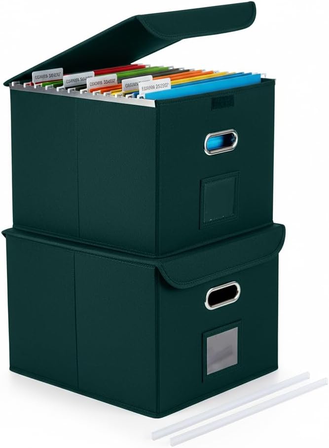File Organizer Box with Lid, Large Hanging File Folder Organizer with Plastic Slide, Collapsible Portable Filing Storage Boxes for Office/Decor/Home (Black, 14.9 x 12.59 x 10.8 inch)