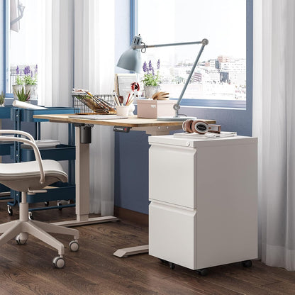 3 Drawer Mobile File Cabinet with Lock, Under Desk Metal Filing Cabinet for Home Office/Legal/Letter/A4 File, Fully Assembled Except Wheels, Black