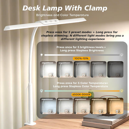 LED Desk Lamp with Clamp for Office Home