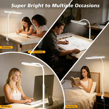 LED Desk Lamp with Clamp for Office Home
