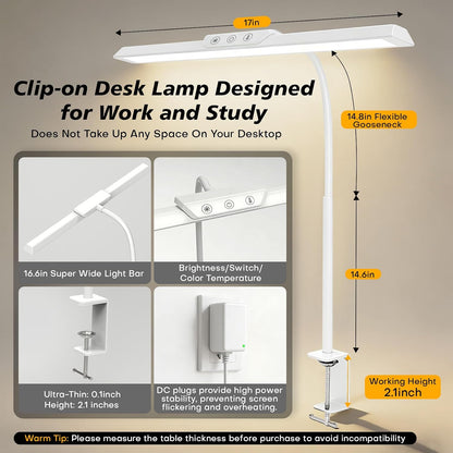 LED Desk Lamp with Clamp for Office Home