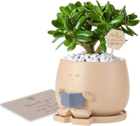 Bookworm Planter Pot with Drainage Cute Plant Pots for Succulents & Small Plants | Teacher Gifts Housewarming|Book Lover Gift, Indoor Planters | Christmas Teacher Gift Mother Dad Appreciation