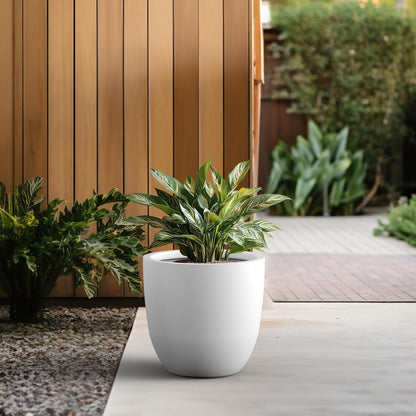 Kante 8.9" H x 10" W Small Concrete Planter, Compact Desktop Plant Pot with Drainage Hole & Rubber Plug – Lightweight Breathable Cement Container for Succulents, Cactus, Herbs, Indoor Outdoor, Gift
