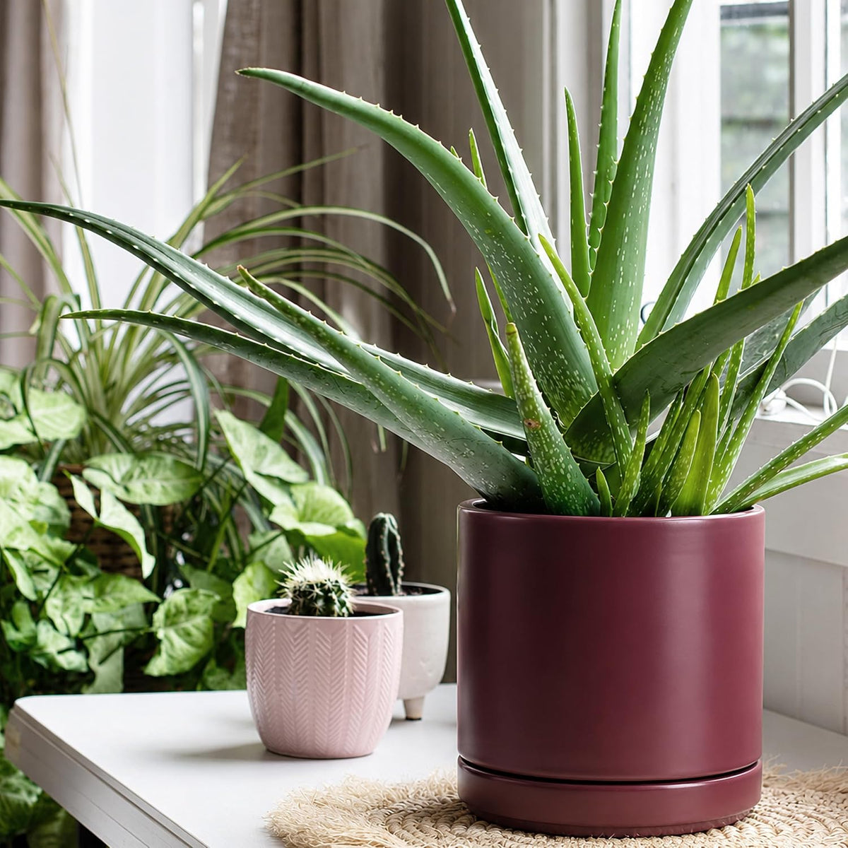 D'vine Dev 4.7 Inch Ceramic Planter Pot with Drainage Hole and Saucer, Indoor Cylinder Round Planter Pot, Teal, 94-O-B-9