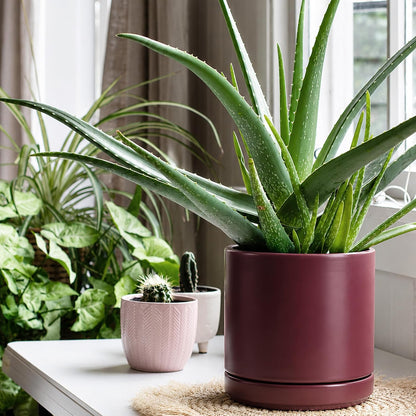 D'vine Dev 4.7 Inch Ceramic Planter Pot with Drainage Hole and Saucer, Indoor Cylinder Round Planter Pot, Teal, 94-O-B-9
