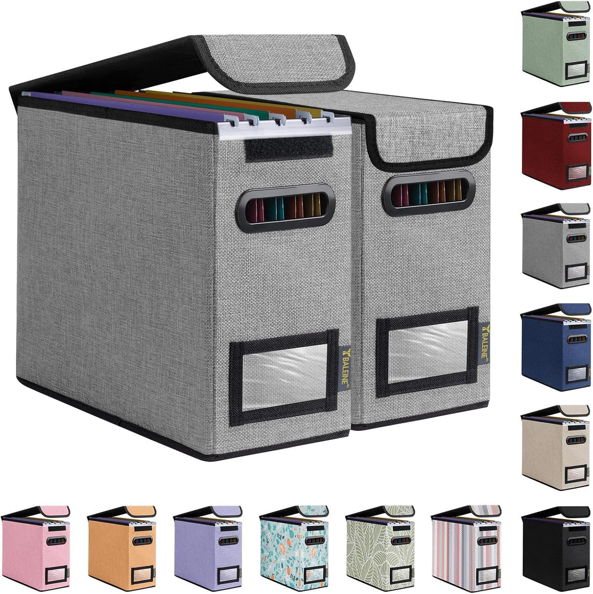 BALEINE File Organizer Box with Lid, Collapsible File Folder Organizer with Plastic Slide, Hanging File Folder Box for Office Document Storage (Black)