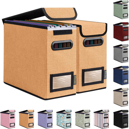 BALEINE File Organizer Box with Lid, Collapsible File Folder Organizer with Plastic Slide, Hanging File Folder Box for Office Document Storage (Black)
