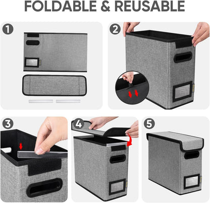 BALEINE File Organizer Box with Lid, Collapsible File Folder Organizer with Plastic Slide, Hanging File Folder Box for Office Document Storage (Black)