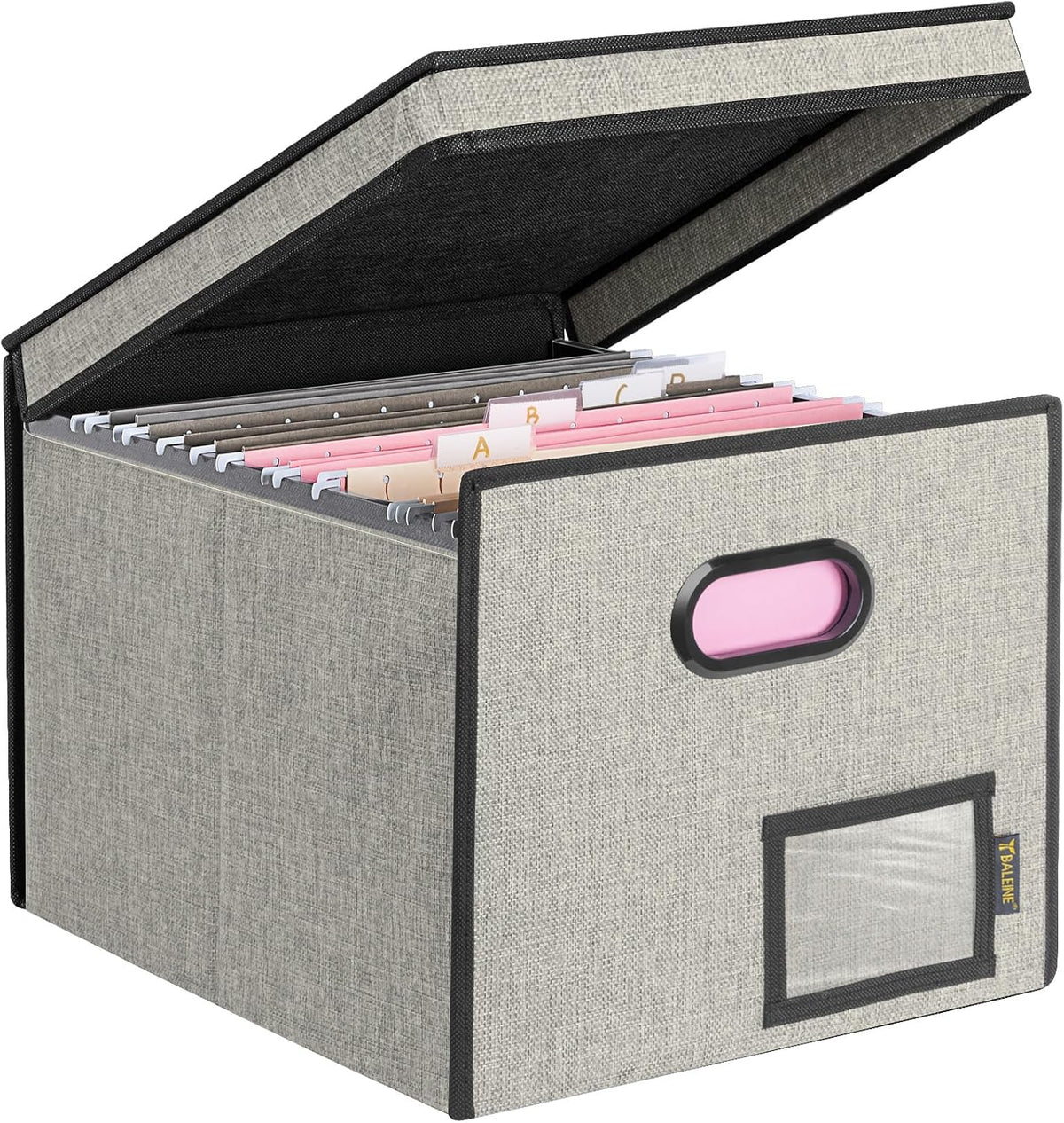 BALEINE File Organizer Box with Lid, Collapsible File Folder Organizer with Plastic Slide, Hanging File Folder Box for Office Document Storage (Black)