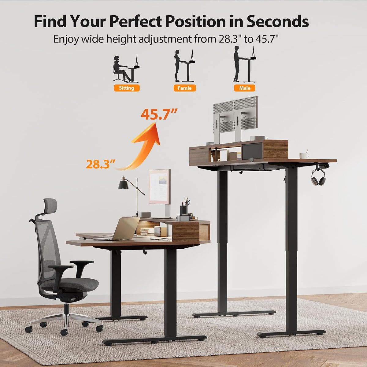 48 * 24 Inch Electric Standing Desk with Shelf & Led, Dark Walnut
