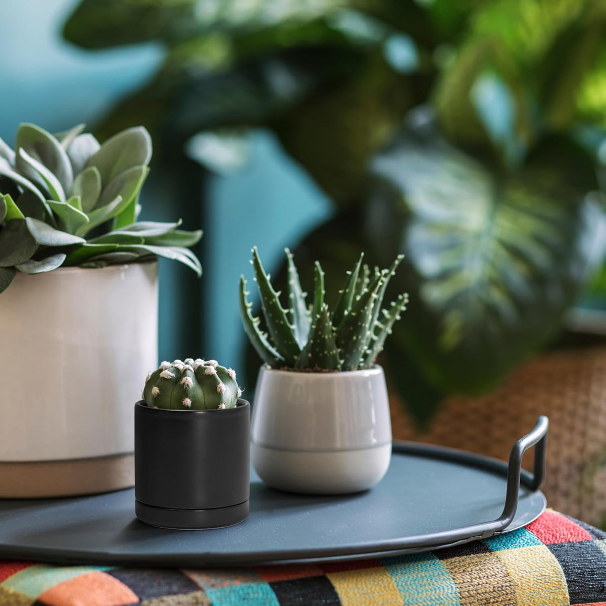 D'vine Dev 4.7 Inch Ceramic Planter Pot with Drainage Hole and Saucer, Indoor Cylinder Round Planter Pot, Teal, 94-O-B-9