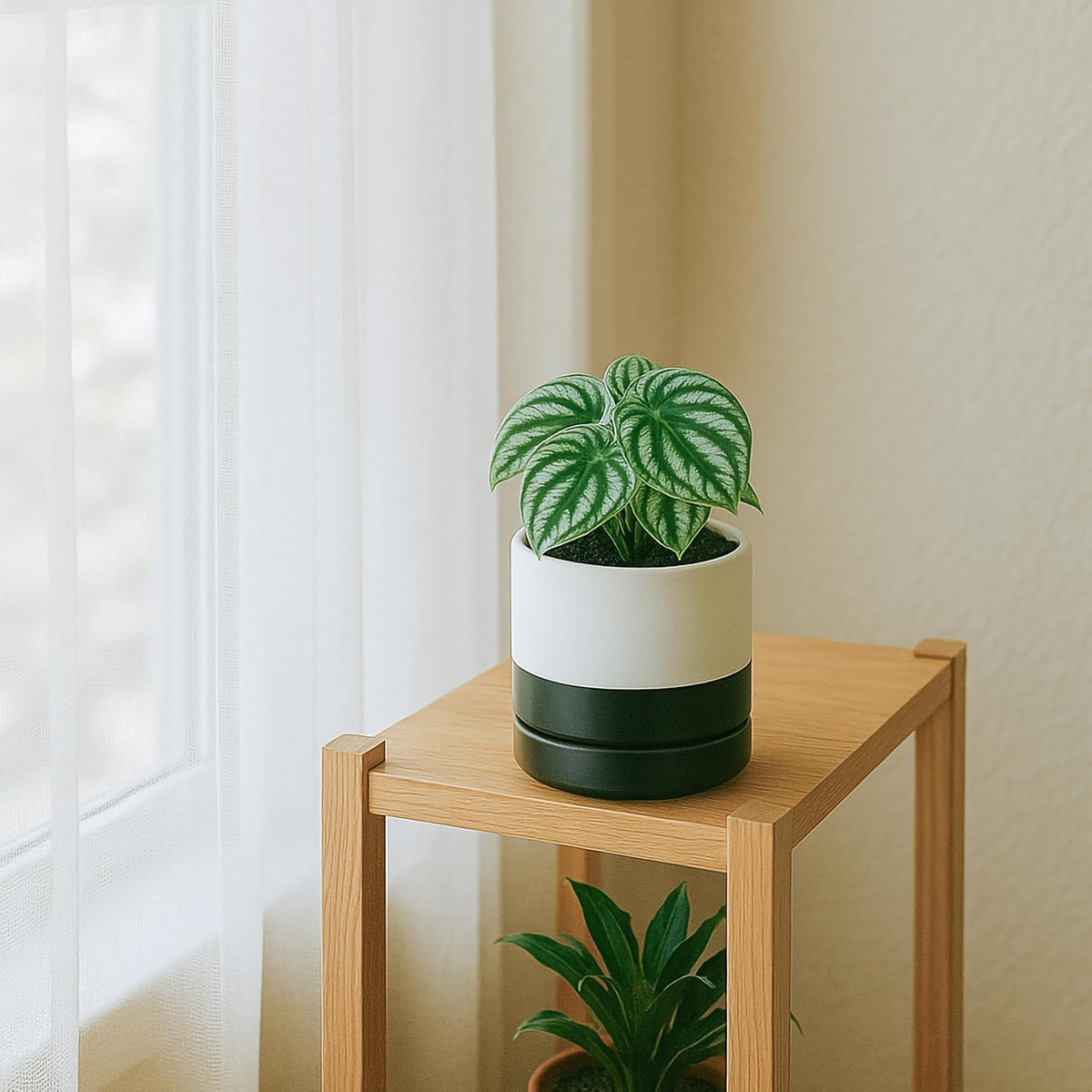 D'vine Dev 4.7 Inch Ceramic Planter Pot with Drainage Hole and Saucer, Indoor Cylinder Round Planter Pot, Teal, 94-O-B-9