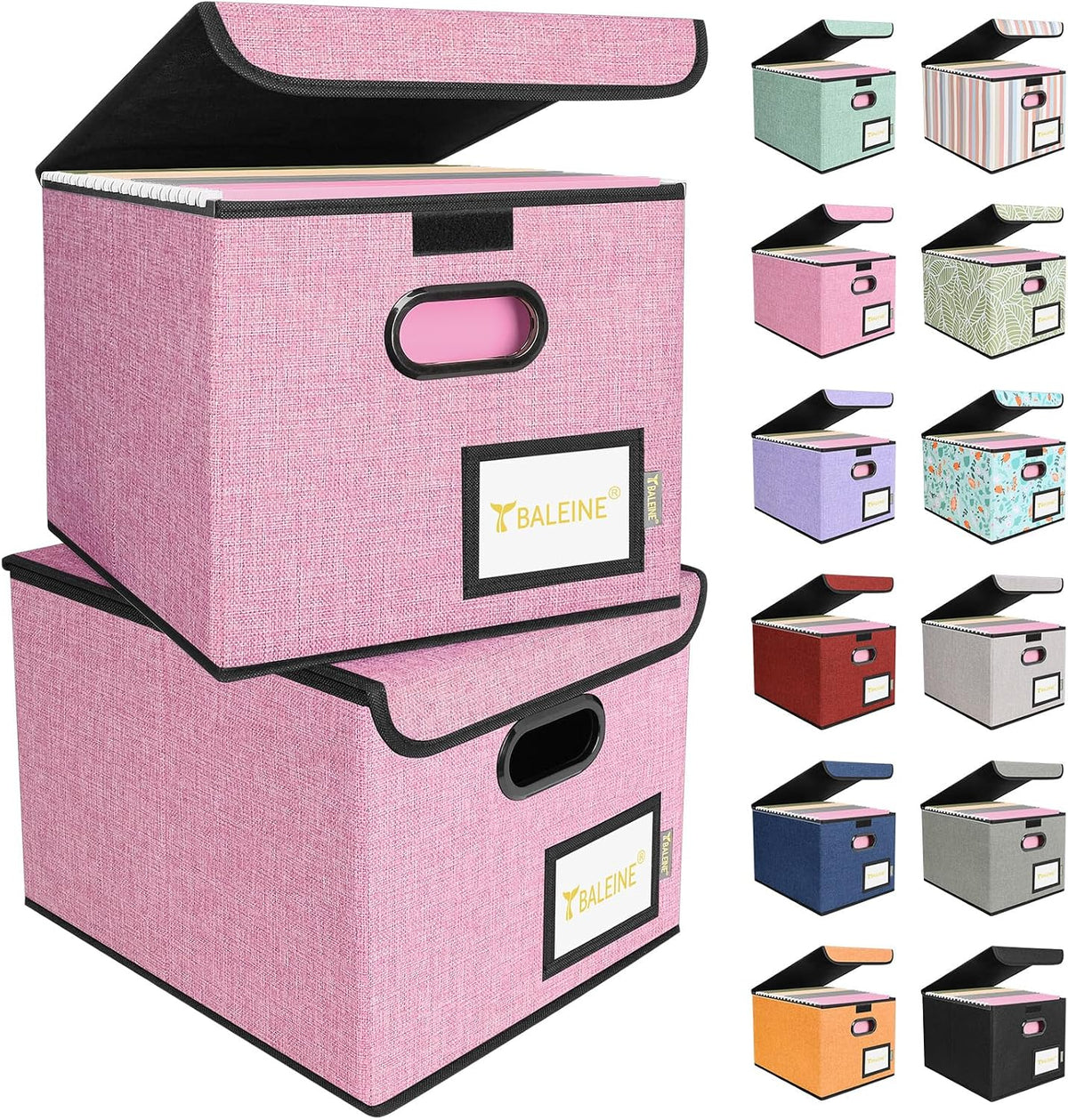 BALEINE File Organizer Box with Lid, Collapsible File Folder Organizer with Plastic Slide, Hanging File Folder Box for Office Document Storage (Black)