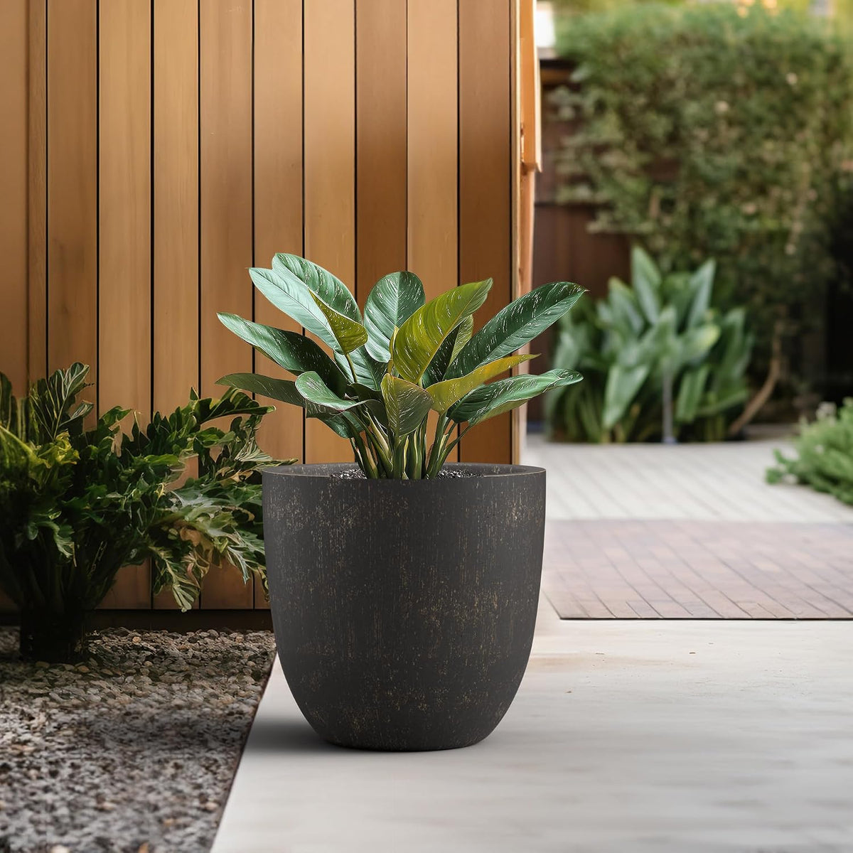 Kante 8.9" H x 10" W Small Concrete Planter, Compact Desktop Plant Pot with Drainage Hole & Rubber Plug – Lightweight Breathable Cement Container for Succulents, Cactus, Herbs, Indoor Outdoor, Gift